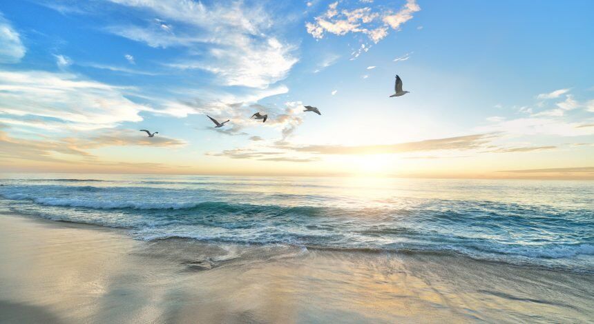 When on Verge of Divorce, Birds of a Feather Flock Together
